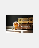 Picca LouLou Jucărie textilă Leu 18cm în cutie cadou - imagine 8