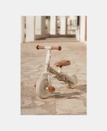 Tricicletă multifuncțională 4 în 1 cu mâner de ghidare – Off White- Little Dutch - imagine 8