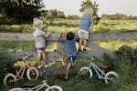 Bicicleta de echilibru Little Dutch albastru mat - imagine 4