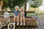Bicicleta de echilibru Little Dutch mat olive - imagine 6