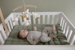 Carusel muzical din lemn din colecția Little Goose Little Dutch - imagine 3
