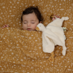 Doudou comforter pentru bebeluși colecția Little Goose Little Dutch - imagine 3