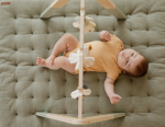 Centru de activități Baby Gym colecția Little Goose Little Dutch - imagine 8