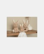 Cutie cadou pentru bebeluși - Baby Bunny - Little Dutch - imagine 8